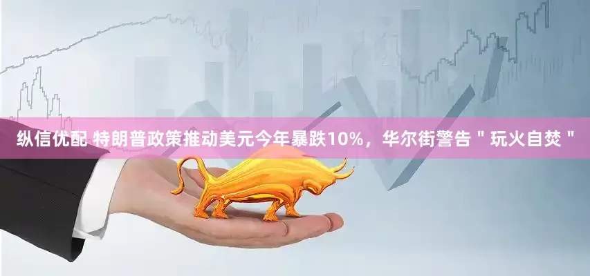 纵信优配 特朗普政策推动美元今年暴跌10%，华尔街警告＂玩火自焚＂