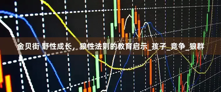 金贝街 野性成长，狼性法则的教育启示_孩子_竞争_狼群