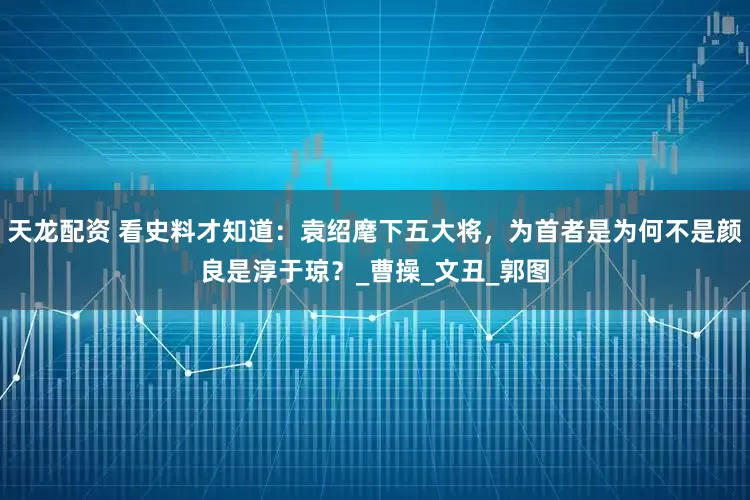 天龙配资 看史料才知道：袁绍麾下五大将，为首者是为何不是颜良是淳于琼？_曹操_文丑_郭图