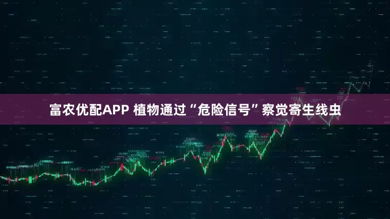 富农优配APP 植物通过“危险信号”察觉寄生线虫