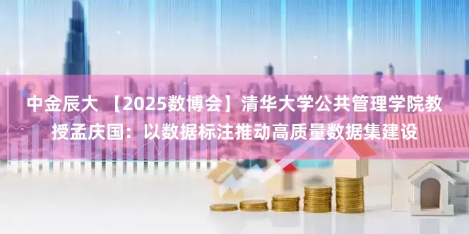 中金辰大 【2025数博会】清华大学公共管理学院教授孟庆国：以数据标注推动高质量数据集建设