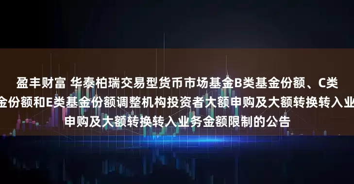 盈丰财富 华泰柏瑞交易型货币市场基金B类基金份额、C类基金份额、D类基金份额和E类基金份额调整机构投资者大额申购及大额转换转入业务金额限制的公告