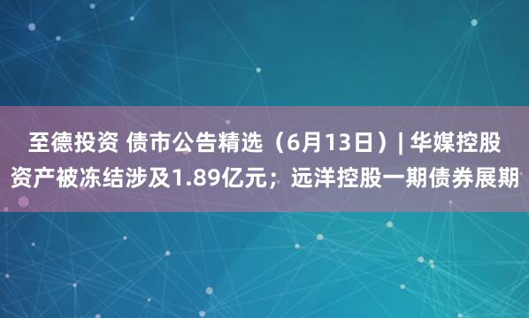 至德投资 债市公告精选（6月13日）| 华媒控股资产被冻结涉及1.89亿元；远洋控股一期债券展期