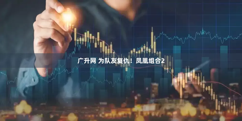 广升网 为队友复仇！凤凰组合2